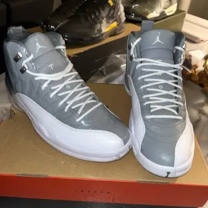 Air Jordan 12 retro stealth