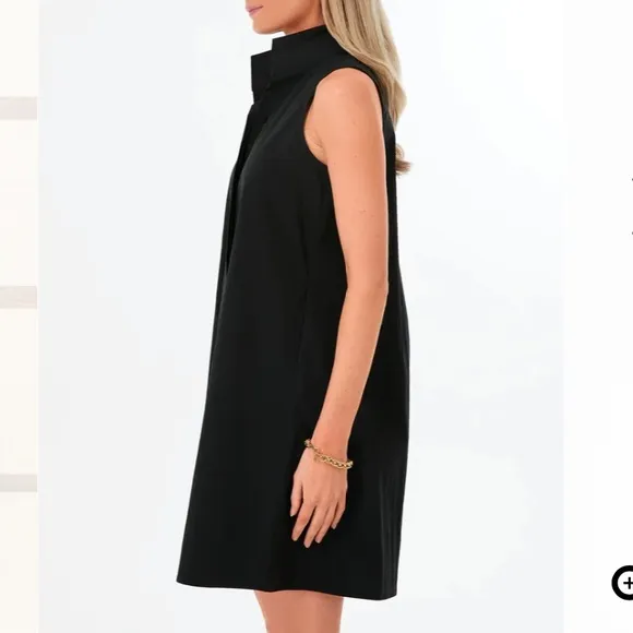 Black Sleeveless Charlie Dress