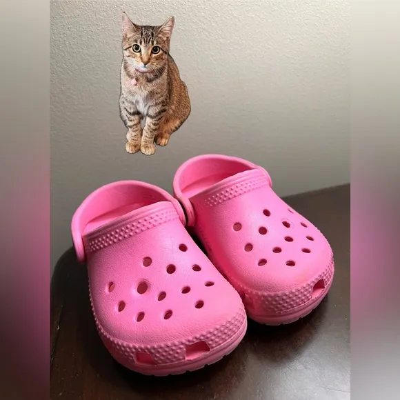 Bundle of Toddler Girl 6C Shoes
