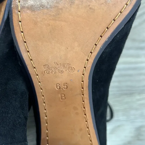 Coach Priscilla Lux Suede Sandals