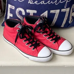 Converse x Jason Jessee x Santa Cruz size 10