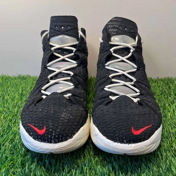 Diana Taurasi x Nike LeBron 18 La Cabra GOAT