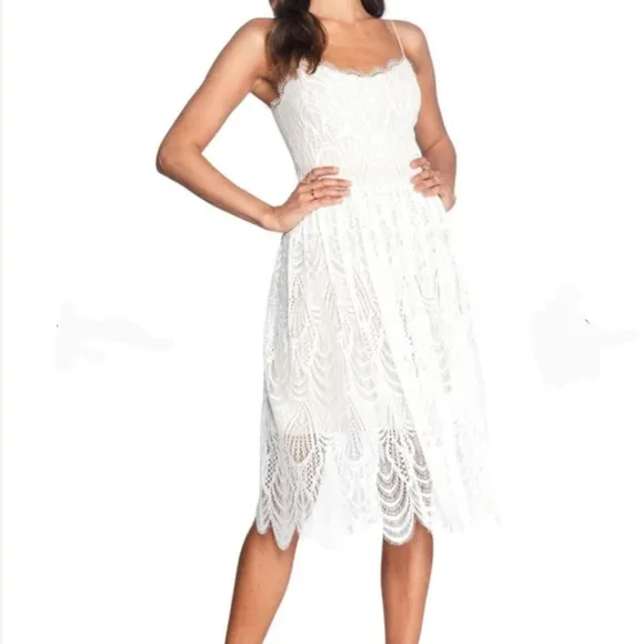 DRESS THE POPULATION white lace Francesca dress knee length sz Large NWT