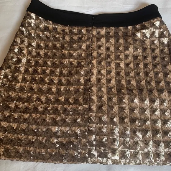 Erin Kleinberg metallic skirt and crop top set