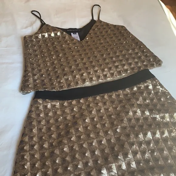 Erin Kleinberg metallic skirt and crop top set
