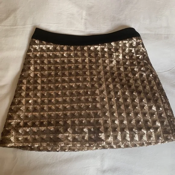Erin Kleinberg metallic skirt and crop top set