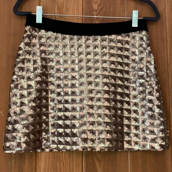 Erin Kleinberg metallic skirt and crop top set