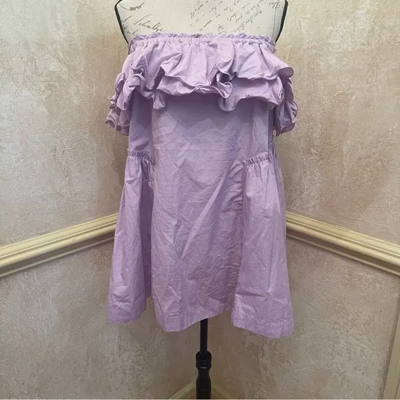 Free People Have A Thing For You Mini dress in Lavender Fields 100% Cotton Sz M