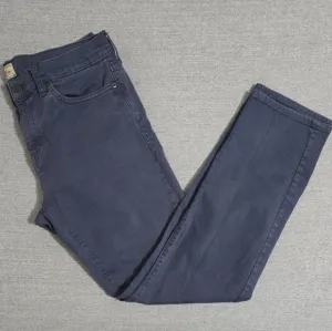J.Crew slim rich blue jean style pants