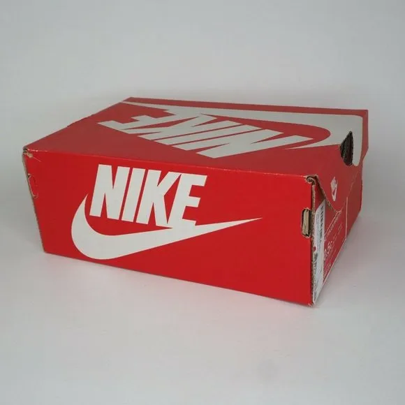 Little Kids Nike Tanjun Print Athletic Running Brown Sneakers SZ 10.5