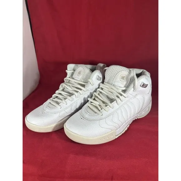 Nike Air Jordan Jumpman Pro BG (GS) Platinum‎ White 907973-100 Youth Size 5.5Y
