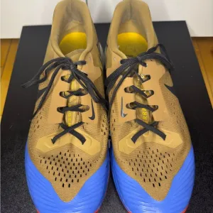 Nike Brown and Blue Athletic Shoes worn but great shape.  Size 10 1/2 men’s.