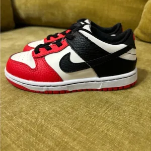 Nike Dunk Low EMB•NBA 75th Anniversary Chicago