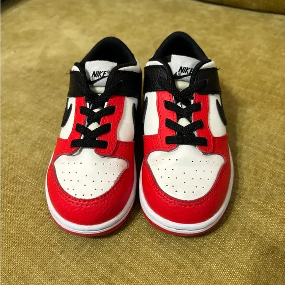 Nike Dunk Low EMB•NBA 75th Anniversary Chicago