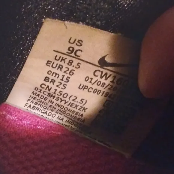 Nike Flexrunner Shoes Child Size 9 Toddler Slip On Pink Blue