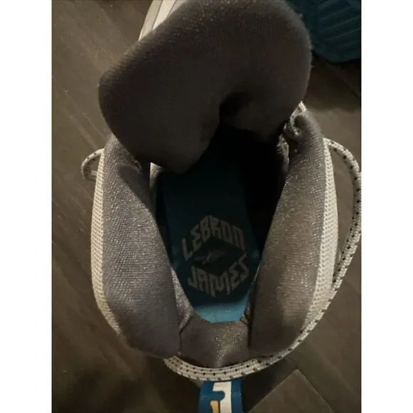 Nike‎ LeBron 13 Hologram Size 9.5