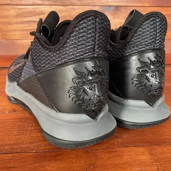 Nike Lebron Witness IV Shoes Men‎ 8.5 Black Basketball Sneakers BV7427-003