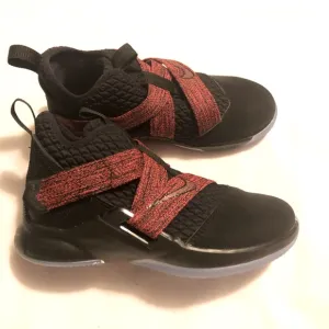 Nike Lebron Xll basketball 🏀 shoes NWT