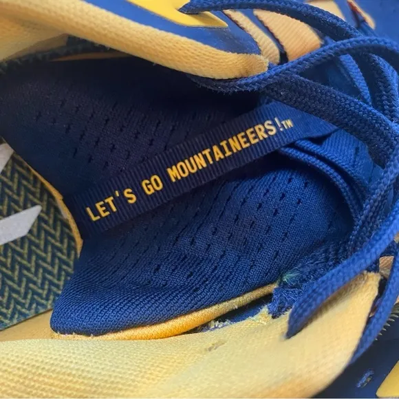 Nike Men’s Navy West Virginia Mountaineers Zoom Pegasus 38 Running Shoes Size 10