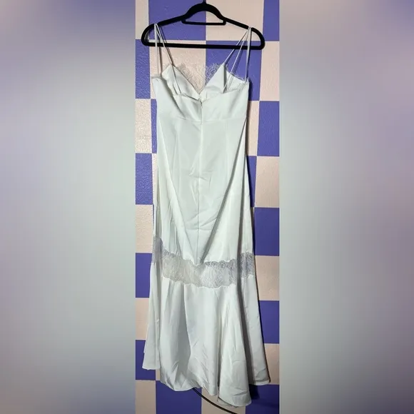 NWT Sachin   Babi Candace Slip Dress Lace Insets in Off White - Size 8