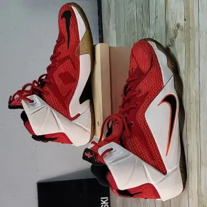 Red‎ Nike LeBron James XII Heart of Lion Youth Size 6.5 Shoes 685181-602
